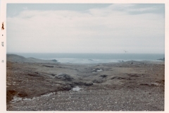 Adak_Alaska-035